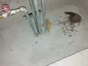 金寨卫生间测漏水价格明细